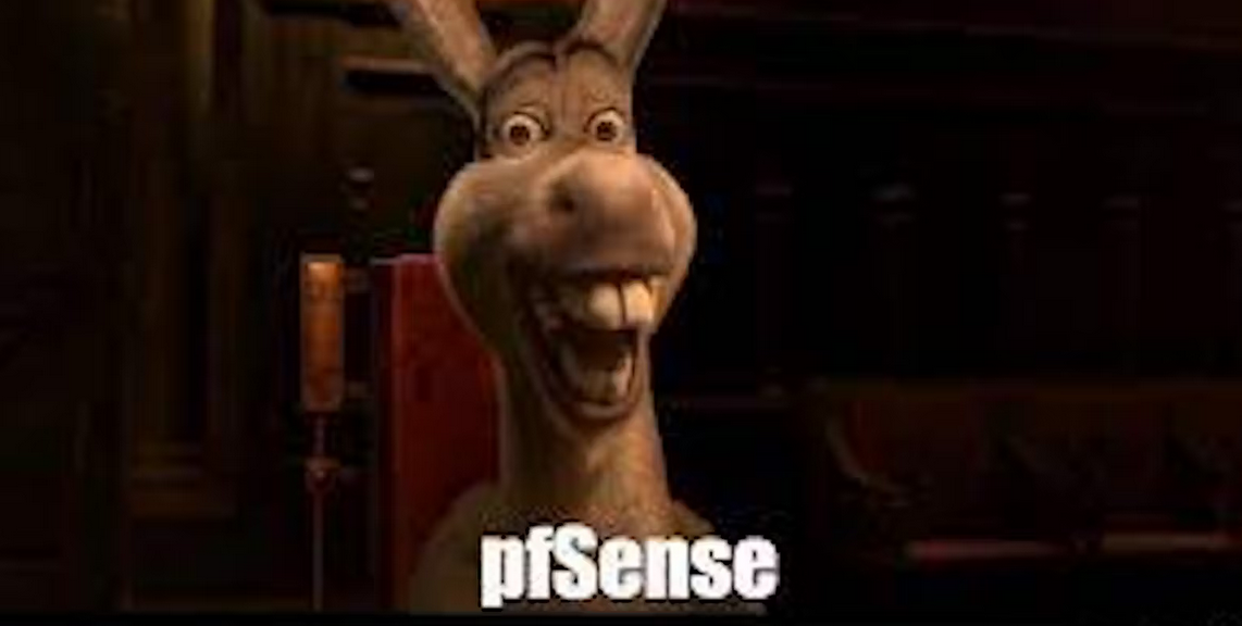donkey